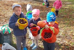 Projekt "W zgodzie z naturą" 2022-2023